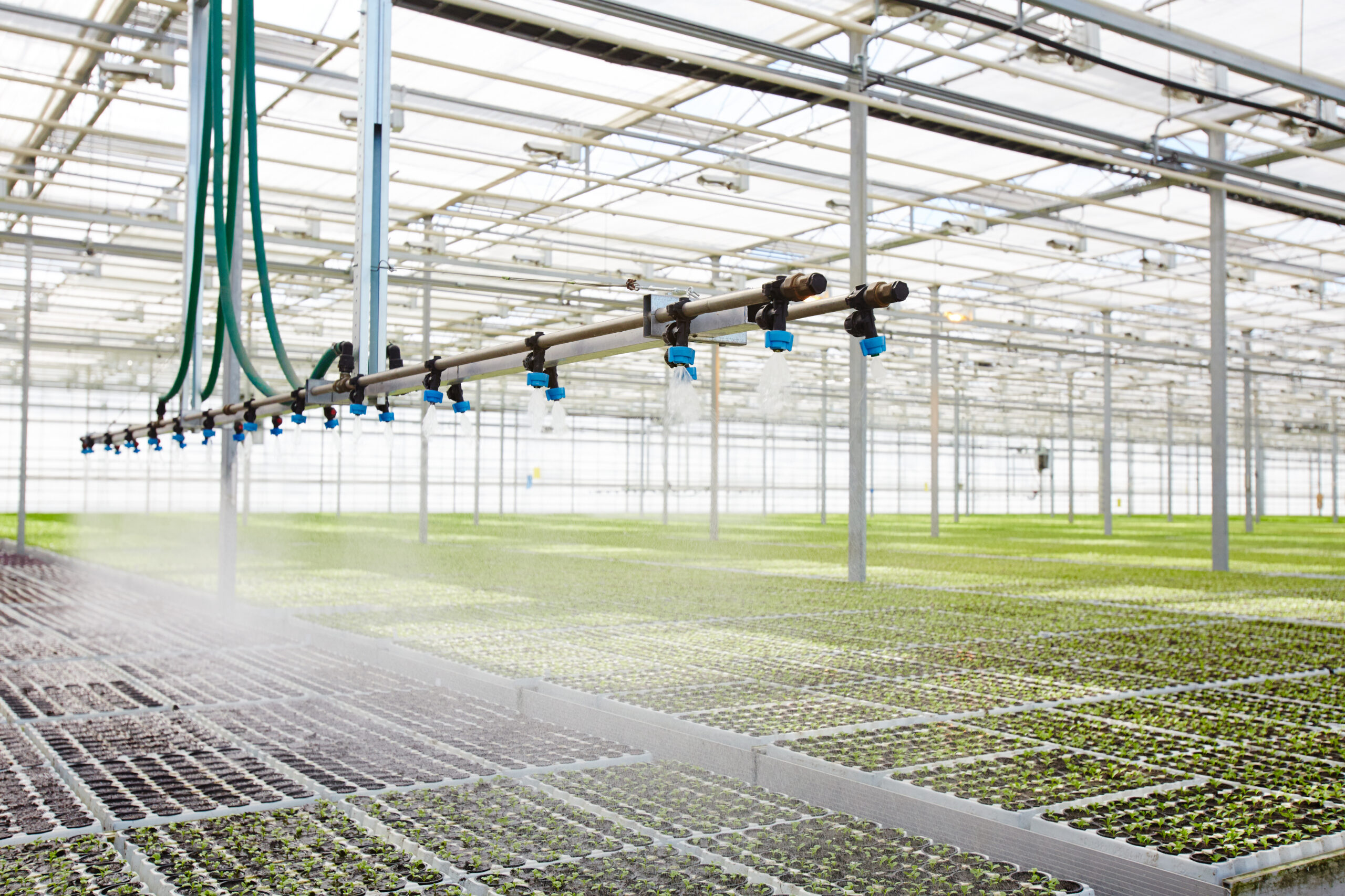 greenhouse irrigation management