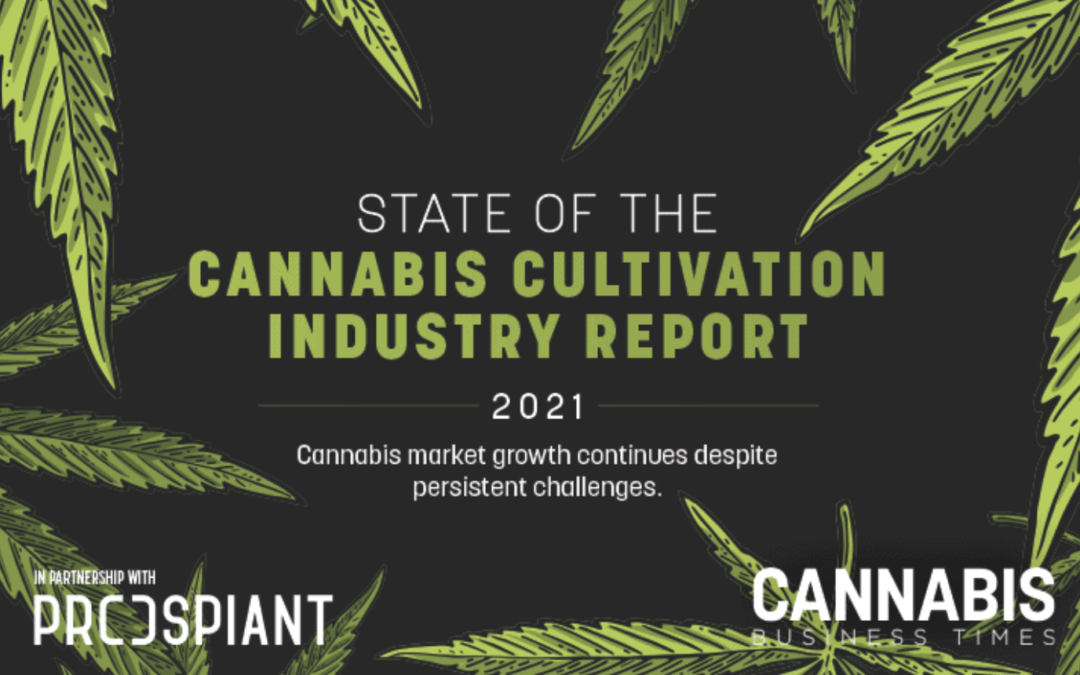 Cannabis Industry Report
