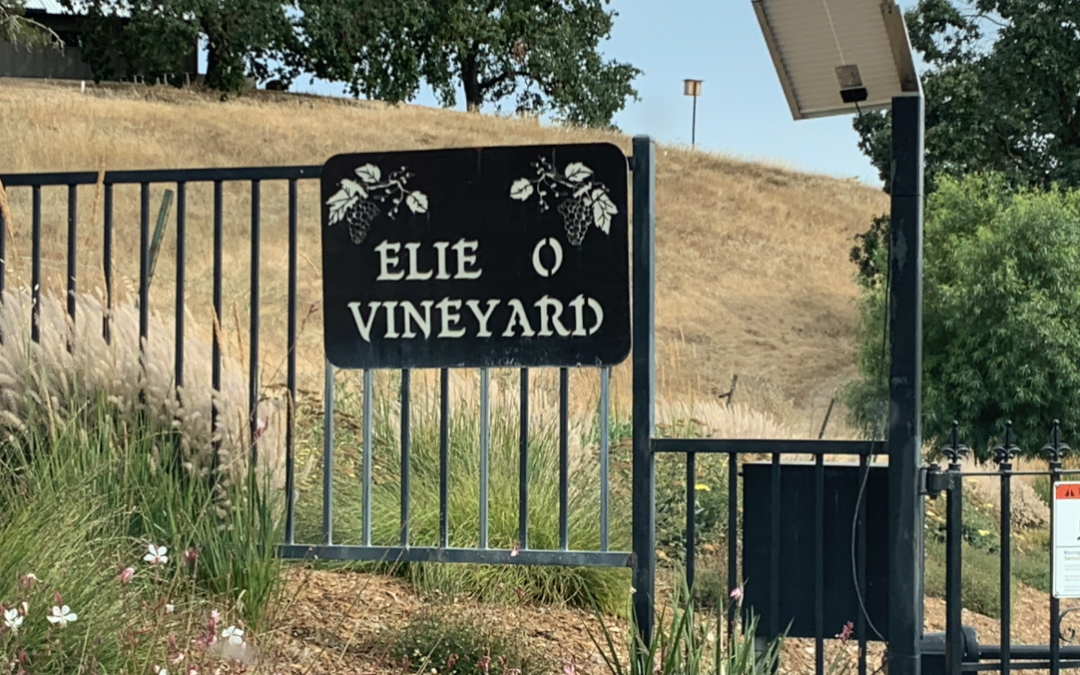 A Visit to the Russian River Valley